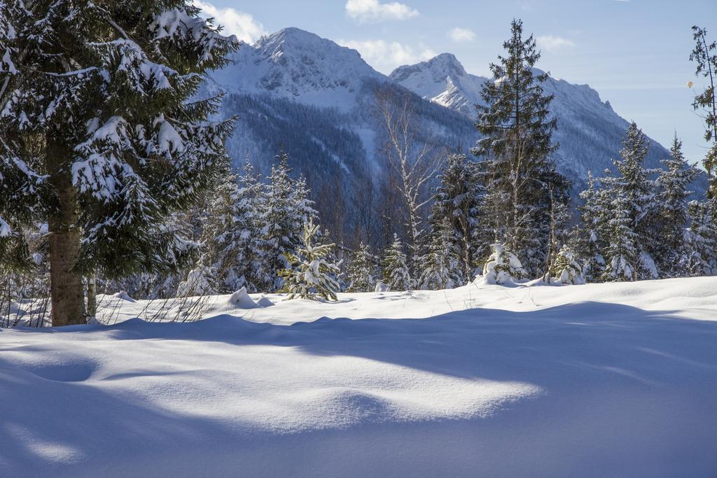 Ferienwohnung Haus Rieder Inzell Luaran gambar